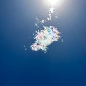 Meet your Posher, Bridget